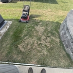 dethatch clean up