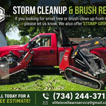 Stump and Brush removal