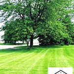 Lawn Service