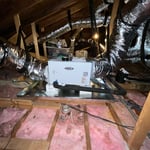 Dehumidifier