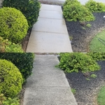 Pressure Wash