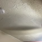 Ceiling repair