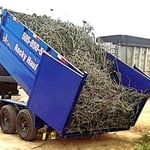 Tree trim project