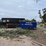 Tree trim project