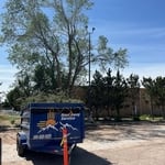 Tree trim project
