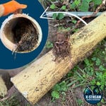 Fence Post Intrusion