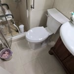 Toilet install