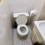 Toilet install