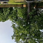 Privacy fence
