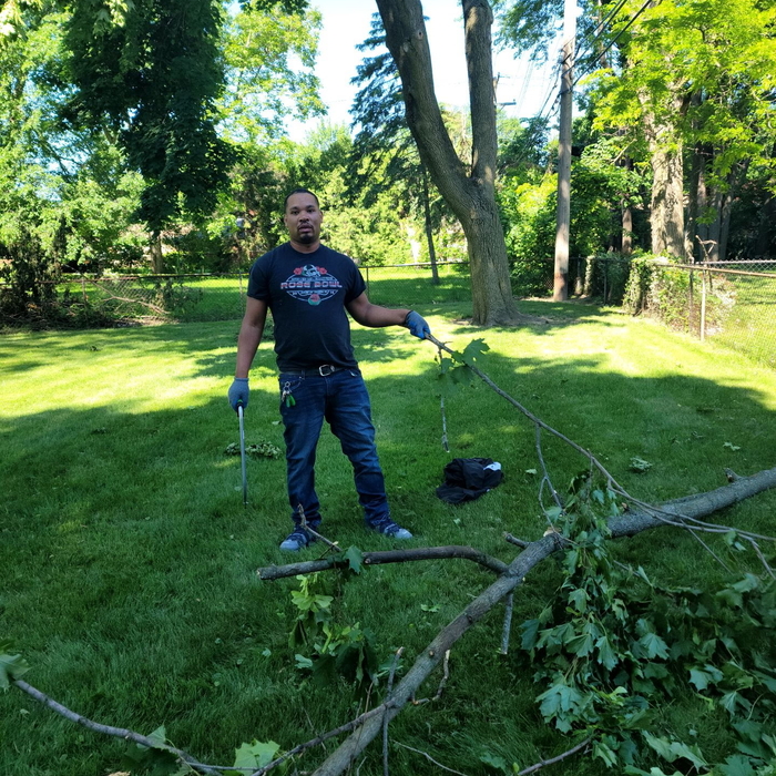 Landscaping