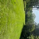 Lawn care