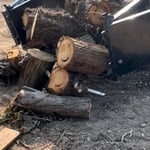 Downed tree removal