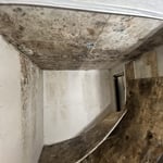 Mold Remediation