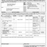 Roofing,chimney,steps