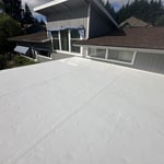 TPO roof