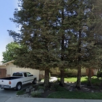 Landscaping/Yard Design