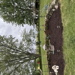 Garden mulch pad