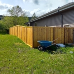 Cedar Fence