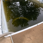 Vinyl Liner Replacement