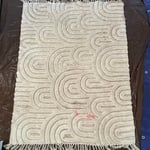 Area Rug Clean 1