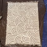 Area Rug Clean 1