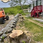 Stump Removal