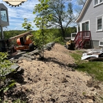 Stump Removal