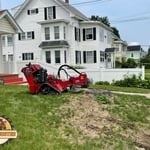 Stump Removal