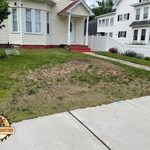 Stump Removal