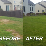 Lawn Care Results