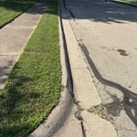 Overgrown yard