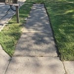 Overgrown yard