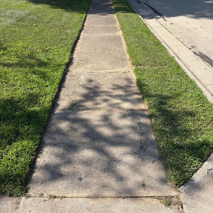 Overgrown yard