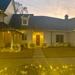 Holiday Lighting, mini string lights, C9 gutter lining lights, trunk and canopy light wrapping