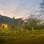 Holiday Lighting, mini string lights, C9 gutter lining lights, trunk and canopy light wrapping