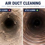 Before & After Cleaning