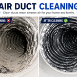 Before & After Cleaning