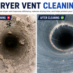 Before & After Cleaning