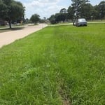 TNT FIREWORKS mows