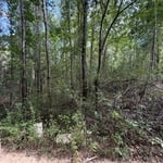 Preparation and Clearing