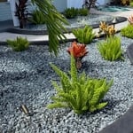 Landscape Projects