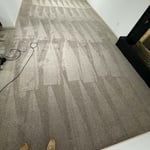 Carpet