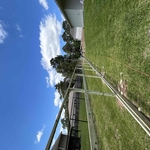 New Fence