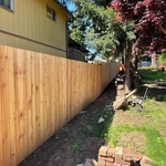 Fence Replacement