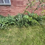 Before