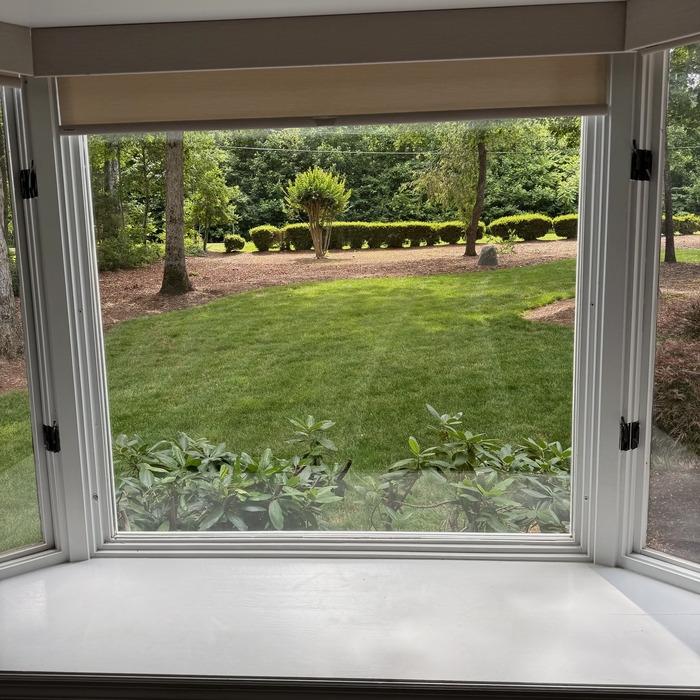Window Replacement