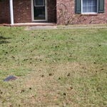 Before Mowing