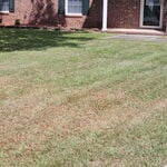 After Mowing