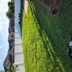 Before mowing