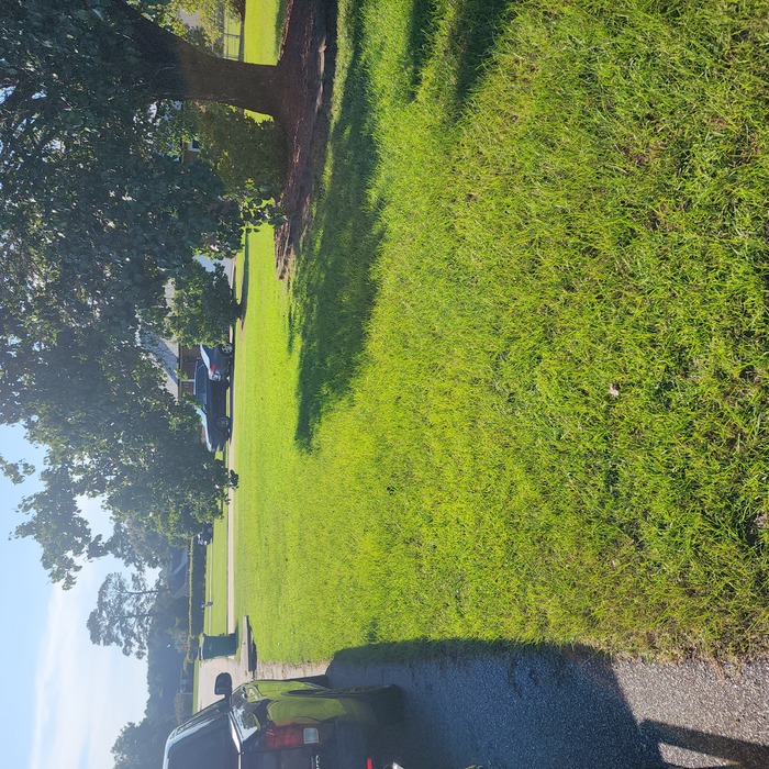 Before mowing